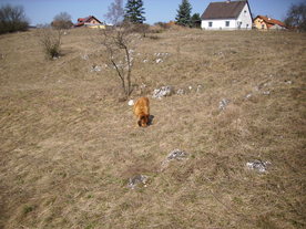 2010-03-24/DSCI6026.JPG