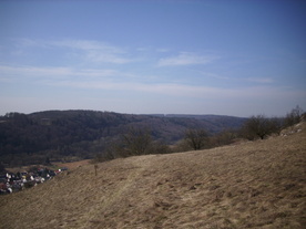 2010-03-24/DSCI6028.JPG