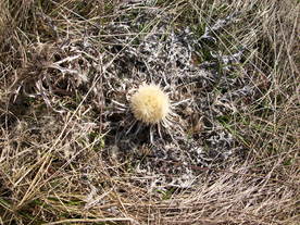 2010-03-24/DSCI6032.JPG