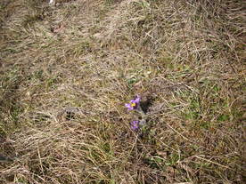 2010-03-24/DSCI6040.JPG