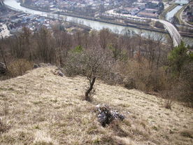 2010-03-24/DSCI6042.JPG
