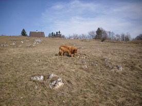 2010-03-24/DSCI6043.JPG