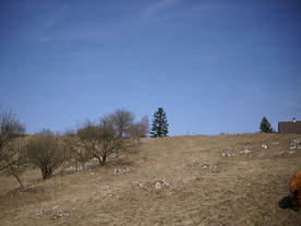 2010-03-24/DSCI6044.JPG