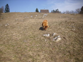 2010-03-24/DSCI6045.JPG