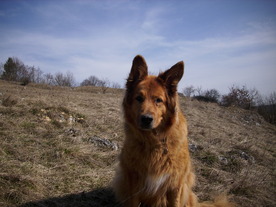 2010-03-24/DSCI6050.JPG