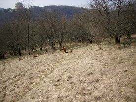 2010-03-24/DSCI6053.JPG