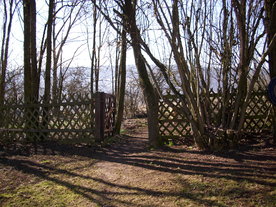 2010-03-29/DSCI6059.JPG