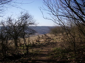 2010-03-29/DSCI6061.JPG