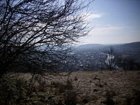 2010-03-29/DSCI6062.JPG