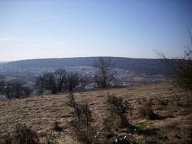 2010-03-29/DSCI6063.JPG