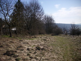 2010-03-29/DSCI6066.JPG