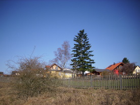 2010-03-29/DSCI6067.JPG