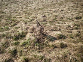 2010-03-29/DSCI6068.JPG