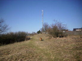 2010-03-29/DSCI6069.JPG