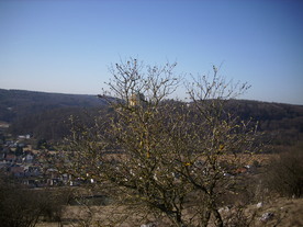 2010-03-29/DSCI6072.JPG