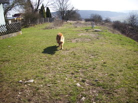 2010-03-29/DSCI6074.JPG