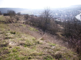 2010-03-29/DSCI6075.JPG