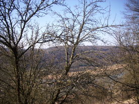 2010-03-29/DSCI6088.JPG