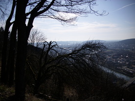 2010-03-29/DSCI6092.JPG