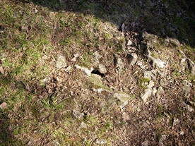 2010-03-29/DSCI6093.JPG