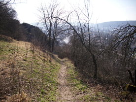 2010-03-29/DSCI6094.JPG
