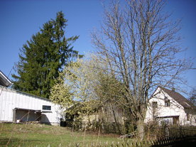 2010-03-29/DSCI6095.JPG