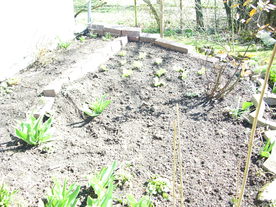 2010-03-29/DSCI6097.JPG