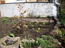 2010-03-29/DSCI6098.JPG