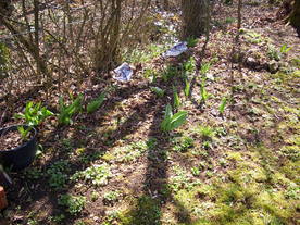 2010-03-29/DSCI6099.JPG