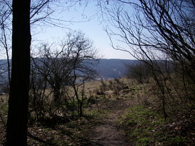 2010-03-29/DSCI6101.JPG