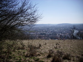 2010-03-29/DSCI6104.JPG