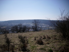 2010-03-29/DSCI6105.JPG