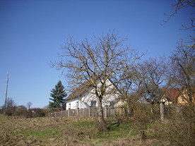 2010-03-29/DSCI6107.JPG