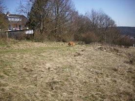 2010-03-29/DSCI6109.JPG