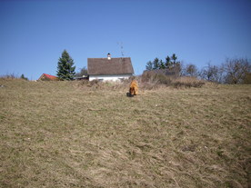 2010-03-29/DSCI6113.JPG