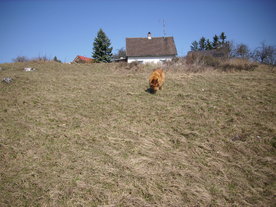2010-03-29/DSCI6114.JPG