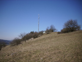 2010-03-29/DSCI6115.JPG