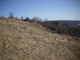 2010-03-29/DSCI6118.JPG