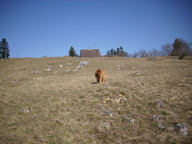 2010-03-29/DSCI6119.JPG