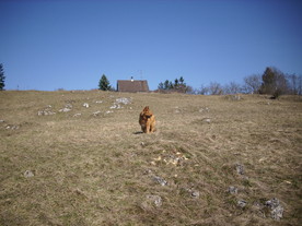 2010-03-29/DSCI6120.JPG