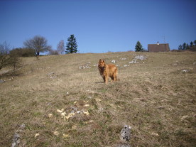 2010-03-29/DSCI6121.JPG