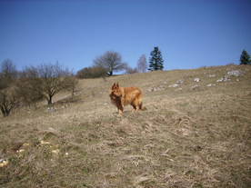 2010-03-29/DSCI6122.JPG