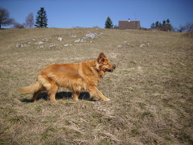 2010-03-29/DSCI6123.JPG