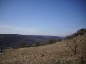2010-03-29/DSCI6127.JPG