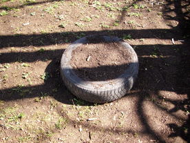 2010-03-29/DSCI6128.JPG