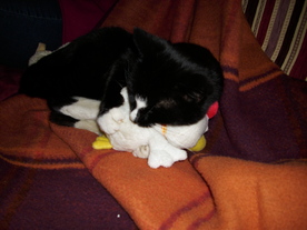 2010-04-13/DSCI6210.JPG