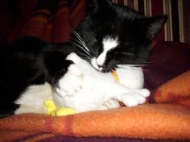 2010-04-13/DSCI6211.JPG