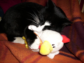 2010-04-13/DSCI6214.JPG