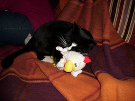 2010-04-13/DSCI6217-0.JPG