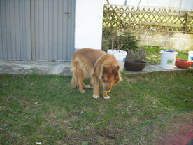 2010-04-13/DSCI6217.JPG